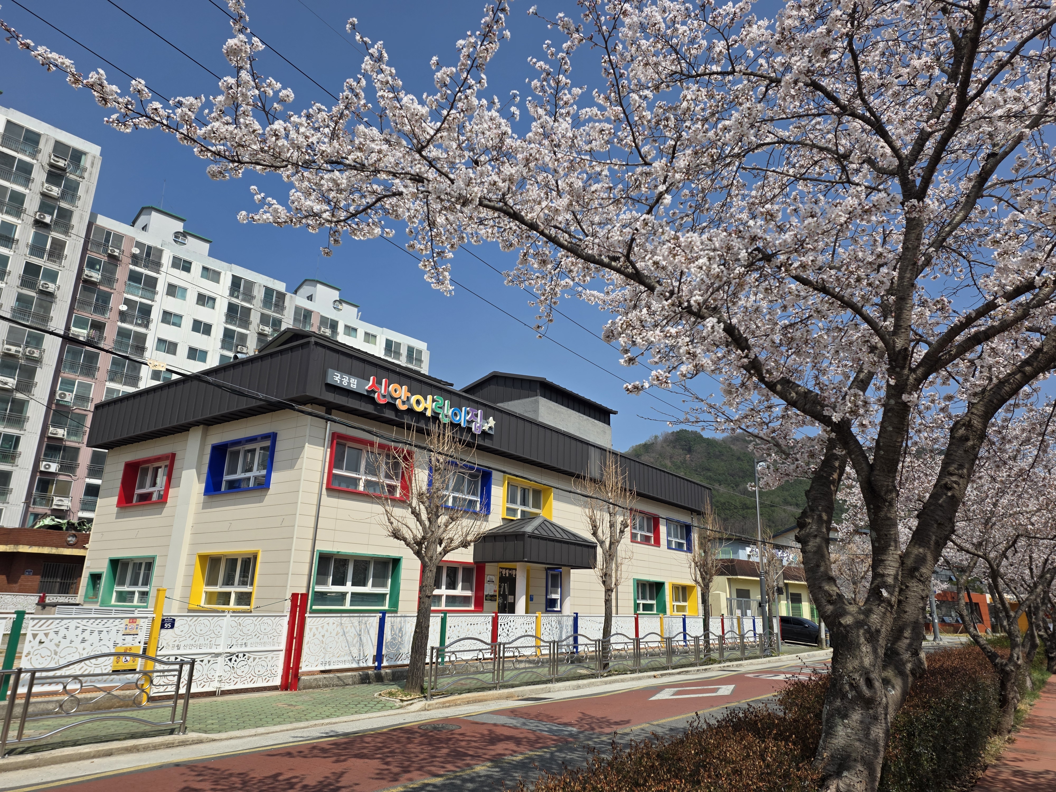 벚꽃길에 자리한 신안어린이집